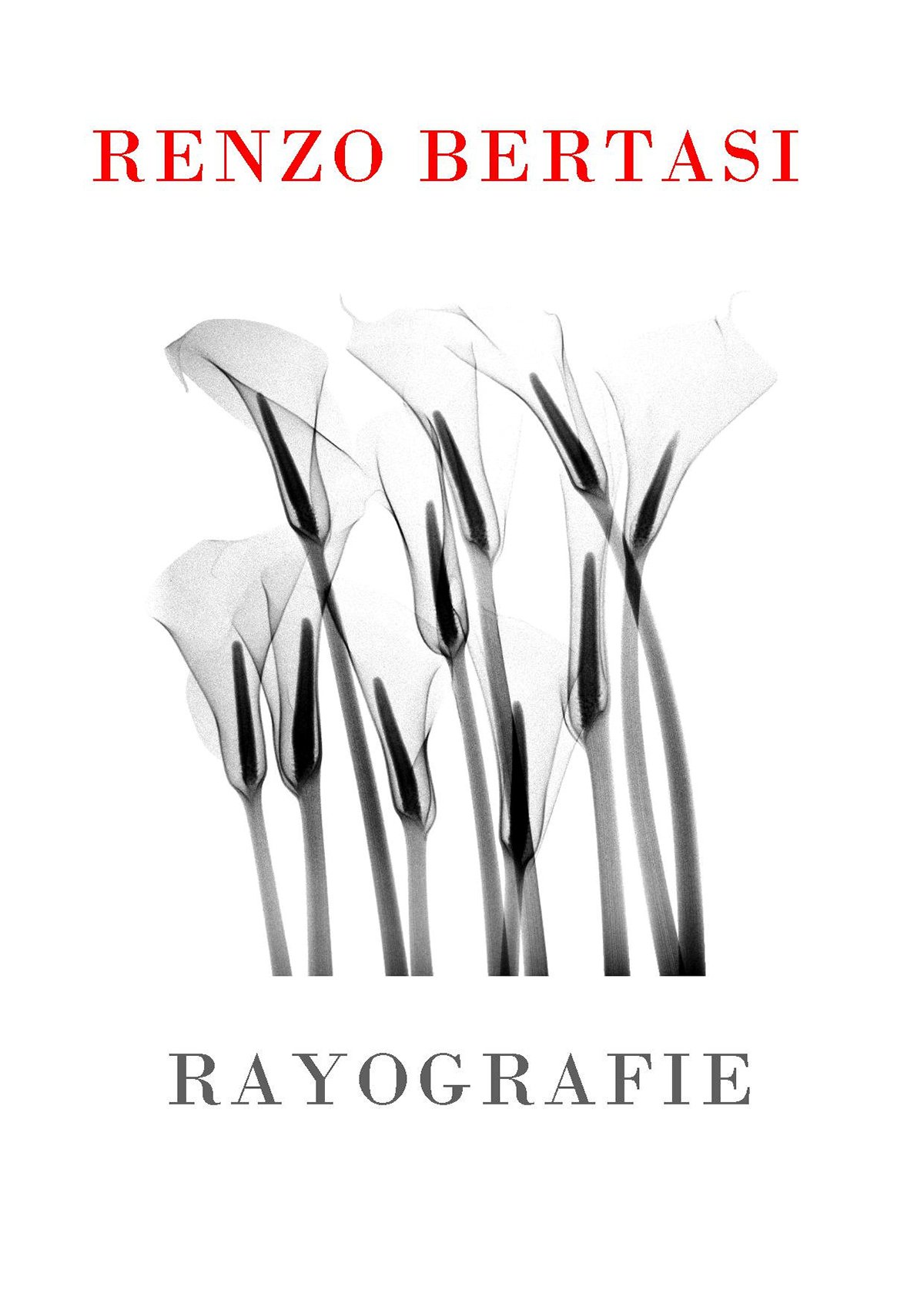 Renzo Bertasi - Rayografie